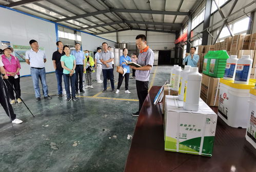 秸秆变废为宝 宁夏构建现代循环农业新模式