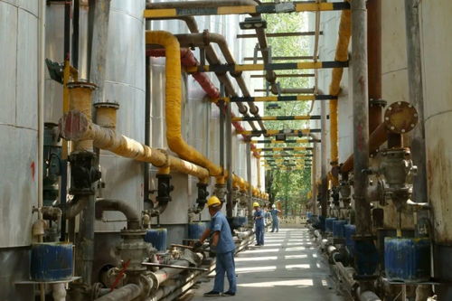 红星闪耀黔东，循环经济赋能 大龙锰业以技术创新驱动资源高效再生